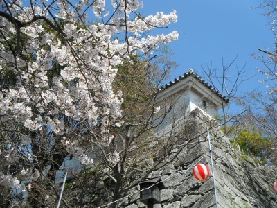 b0131046_2154480.jpg