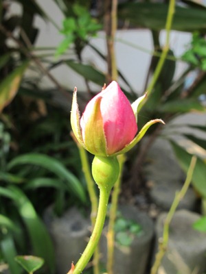 4月 1日 春休み☆_b0158746_16581587.jpg