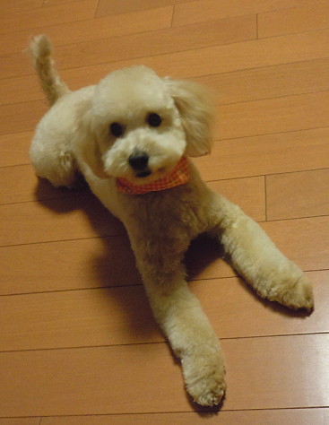 e0028446_005769.jpg