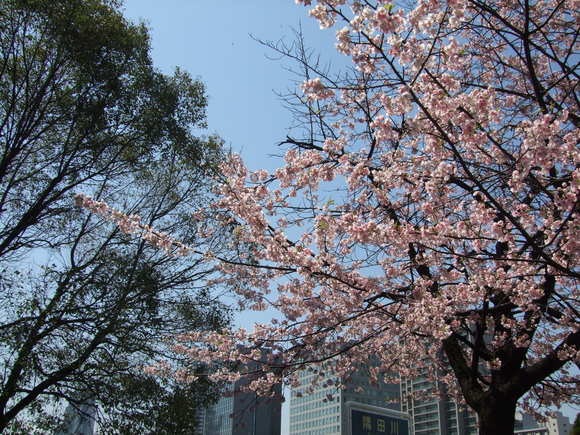 c0111557_19275945.jpg