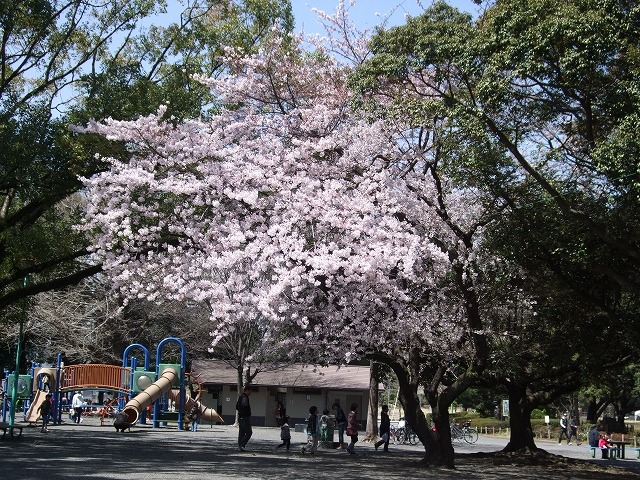 e0176158_2140194.jpg
