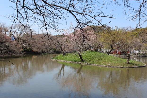 2012.4.1神奈川県鎌倉市　鶴岡八幡宮_e0239458_2144225.jpg