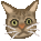 c0119160_11271151.gif