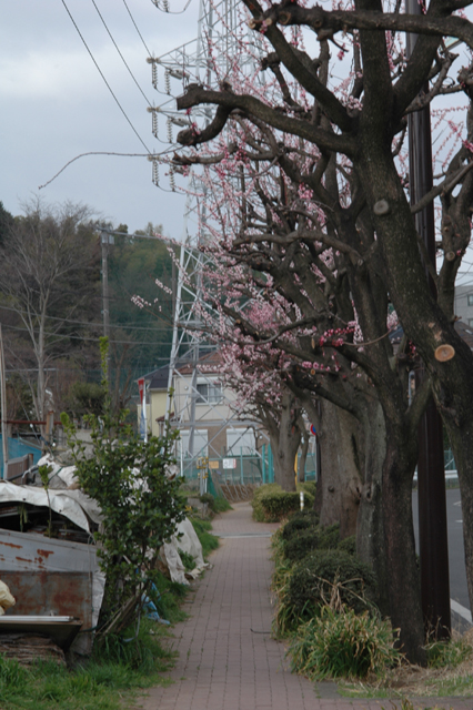 f0230961_8532380.jpg