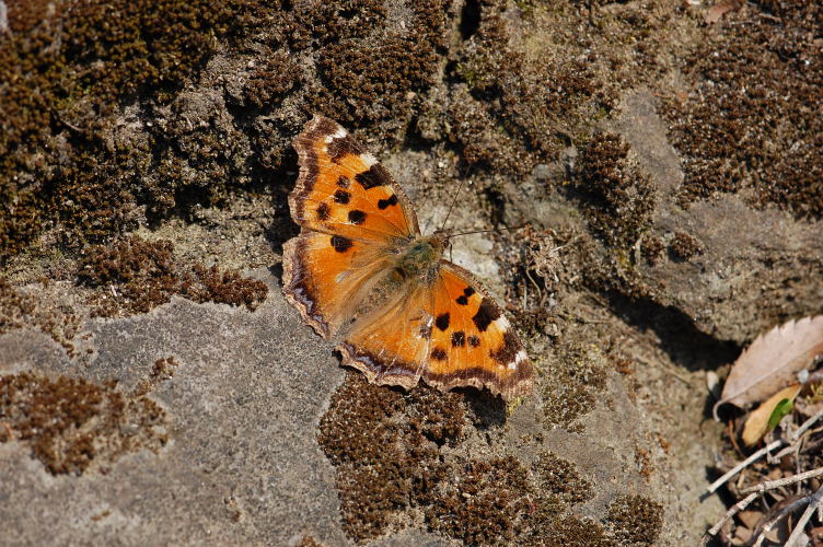 b0167762_22364017.jpg