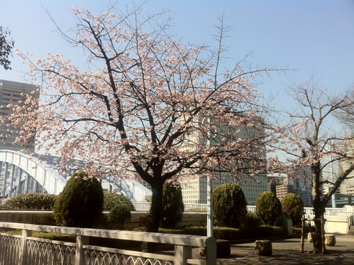 2012-04-01 Works & Information in April 2012_e0021965_1027097.jpg