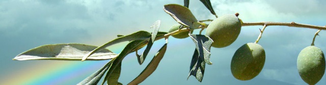 e0122666_152712100.jpg