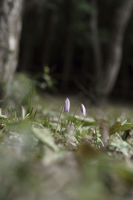 b0198768_22142015.jpg