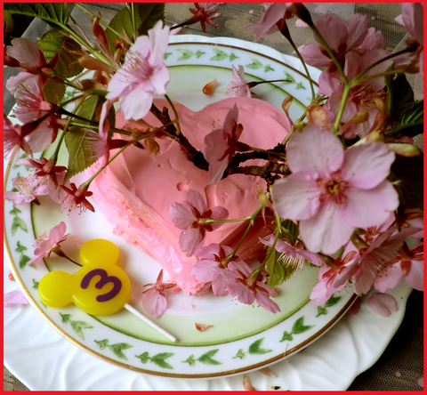 太一君、3歳になりました。桜色の誕生日。_e0236072_254396.jpg
