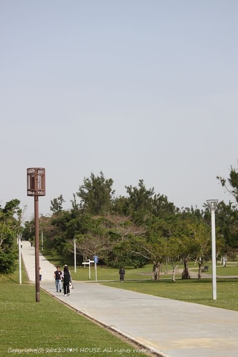 c0139375_1230211.jpg
