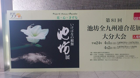 池坊全九州連合花展大分大会_d0230676_13555369.jpg