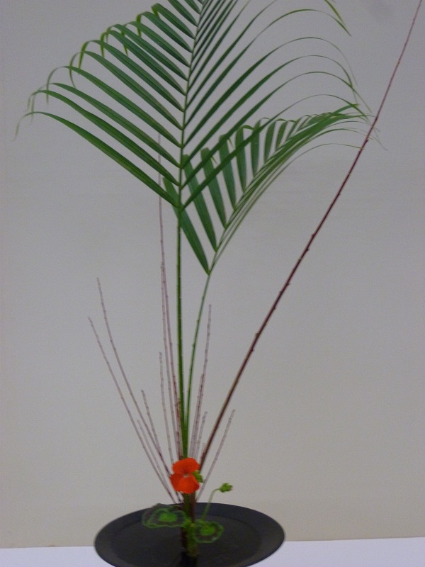 池坊全九州連合花展大分大会_d0230676_1492486.jpg