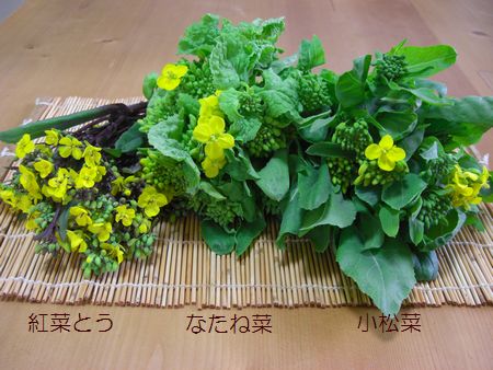 リバティfuwara6重ガーゼハンカチ◇ハムステッドサマー◇グリーン