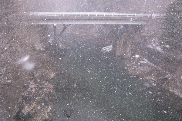 f0124378_22293442.jpg