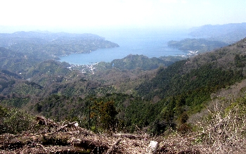 f0003283_16213793.jpg