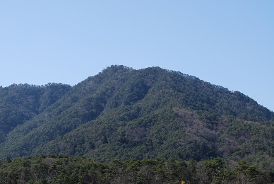 a0133886_20523953.jpg