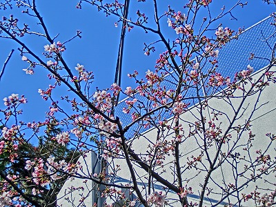 e0222588_16273686.jpg