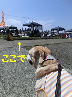 e0222588_16322426.jpg