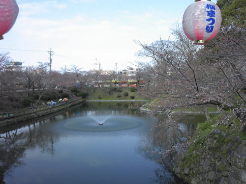 ウォーキング　岡崎公園_e0094589_22141883.jpg