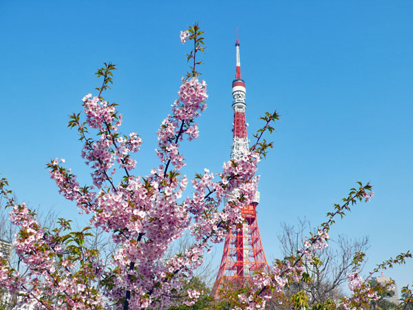 b0019591_12533216.jpg