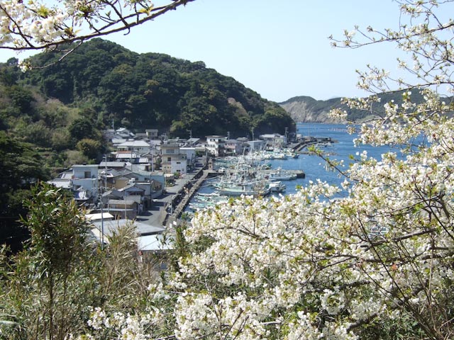 e0064291_198525.jpg