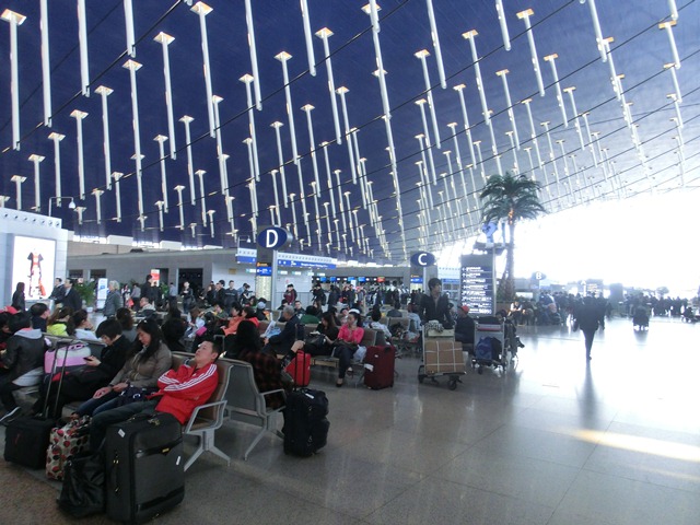 d0181492_21554688.jpg