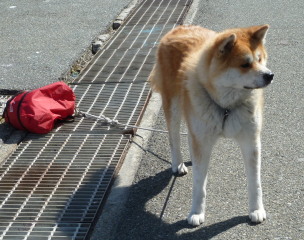 f0166694_220525.jpg