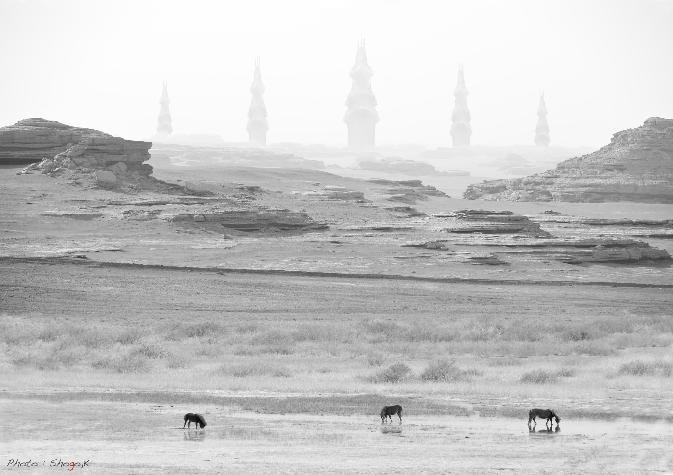 f0186496_16252667.jpg
