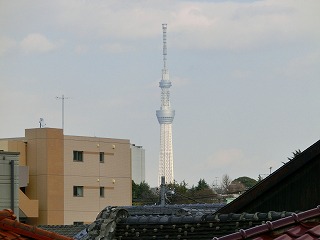 b0190603_42464.jpg