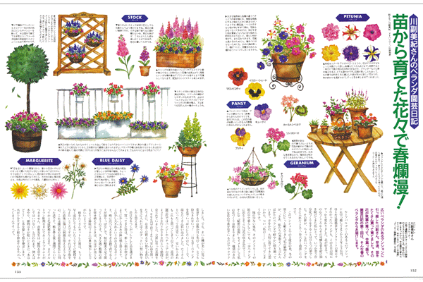 ガーデニング イラストルポ イラストレーター 川副美紀 Miki Kawazoe Illustrations Watercolor Colored Pencil