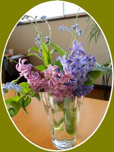 うちの花ですよ_f0218407_1263137.jpg