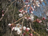 e0125014_20535155.jpg
