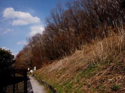 f0200114_19319.jpg