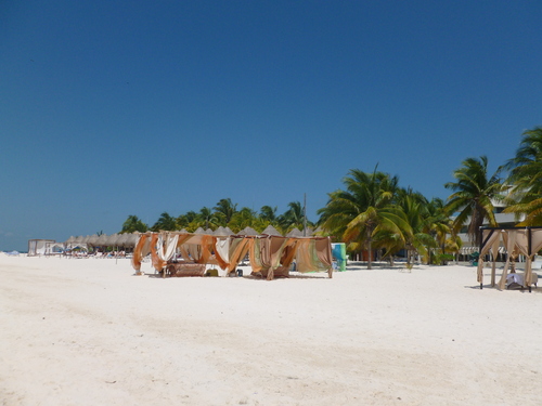 f0127915_47421.jpg