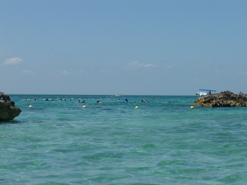 f0127915_495912.jpg