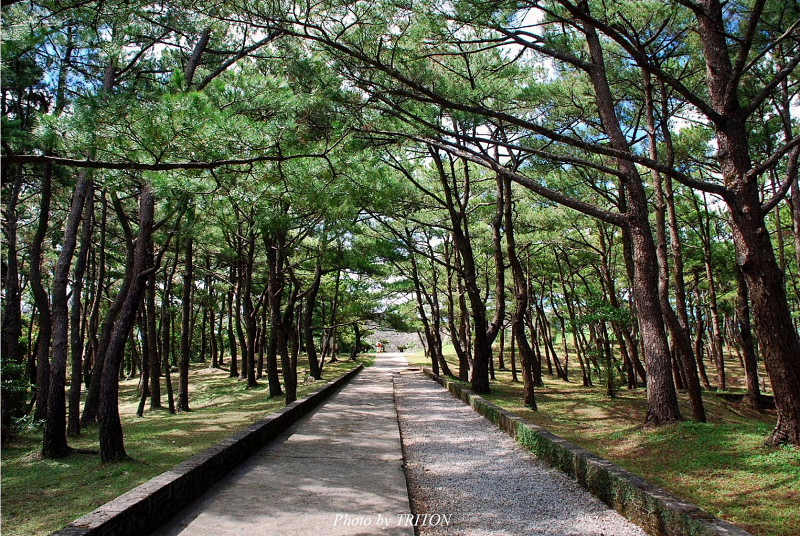 世界文化遺産・座喜味城跡_c0179025_19305544.jpg