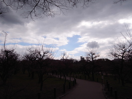 d0178432_17434999.jpg