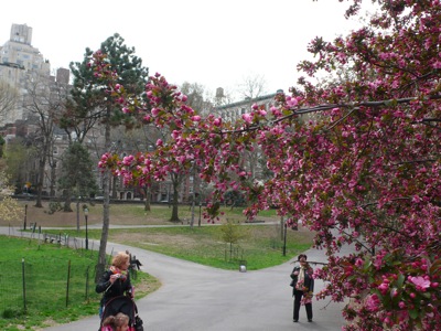 f0200433_8334561.jpg