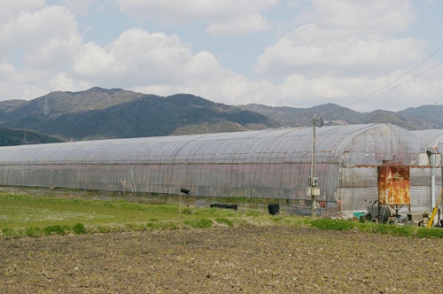 c0027639_132811.jpg