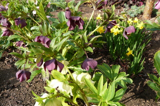 b0200240_17371075.jpg