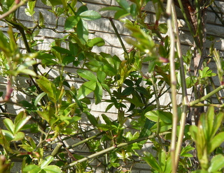 b0200240_17395817.jpg