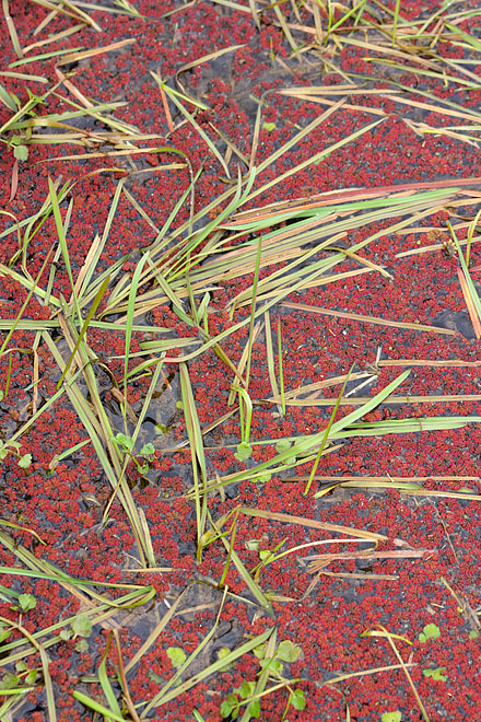 c0067040_22114757.jpg