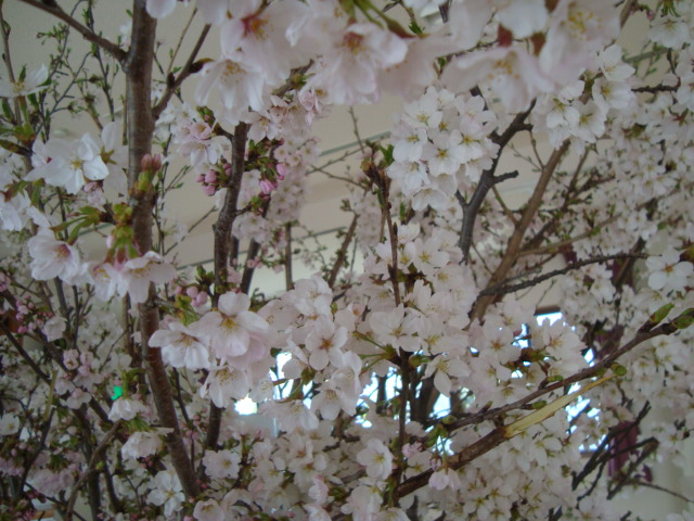 e0060041_21572030.jpg