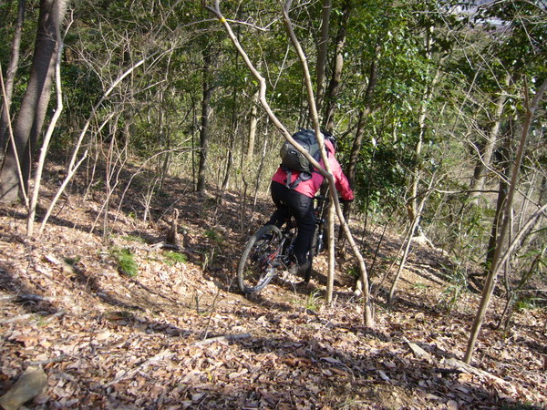 d0014748_2131937.jpg