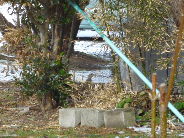 b0238249_2165347.jpg
