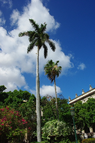 c0011649_6365969.jpg