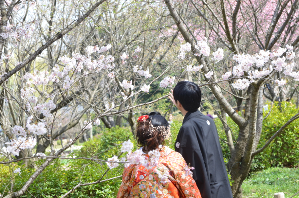 京都和装ロケ〜桜の下で〜_e0046950_23132818.jpg