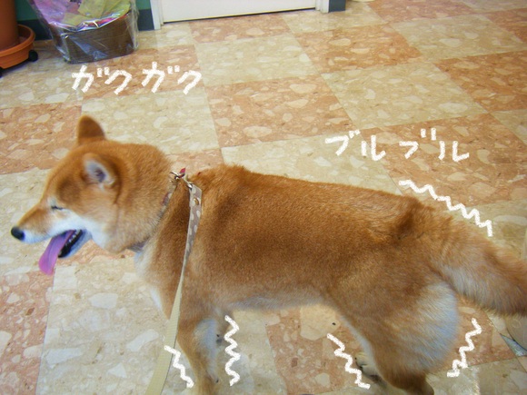 e0241952_1142523.jpg