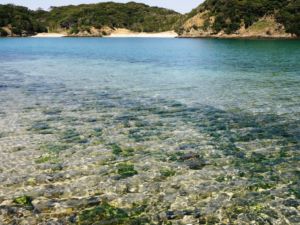 パワースポット壱岐を巡る②なんといっても辰の島!_d0082655_11425142.jpg