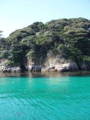 パワースポット壱岐を巡る②なんといっても辰の島!_d0082655_11505195.jpg